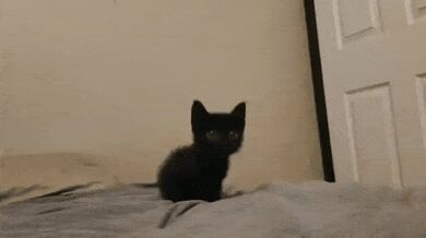 KR TWITTER PORN VIDEOS 00000509