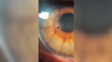 KR TWITTER PORN VIDEOS 00000867